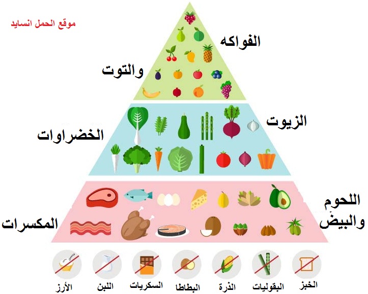 رجيم كيتو - الحصول علي جسم رشيق من خلال دايت الكيتو 6272 1