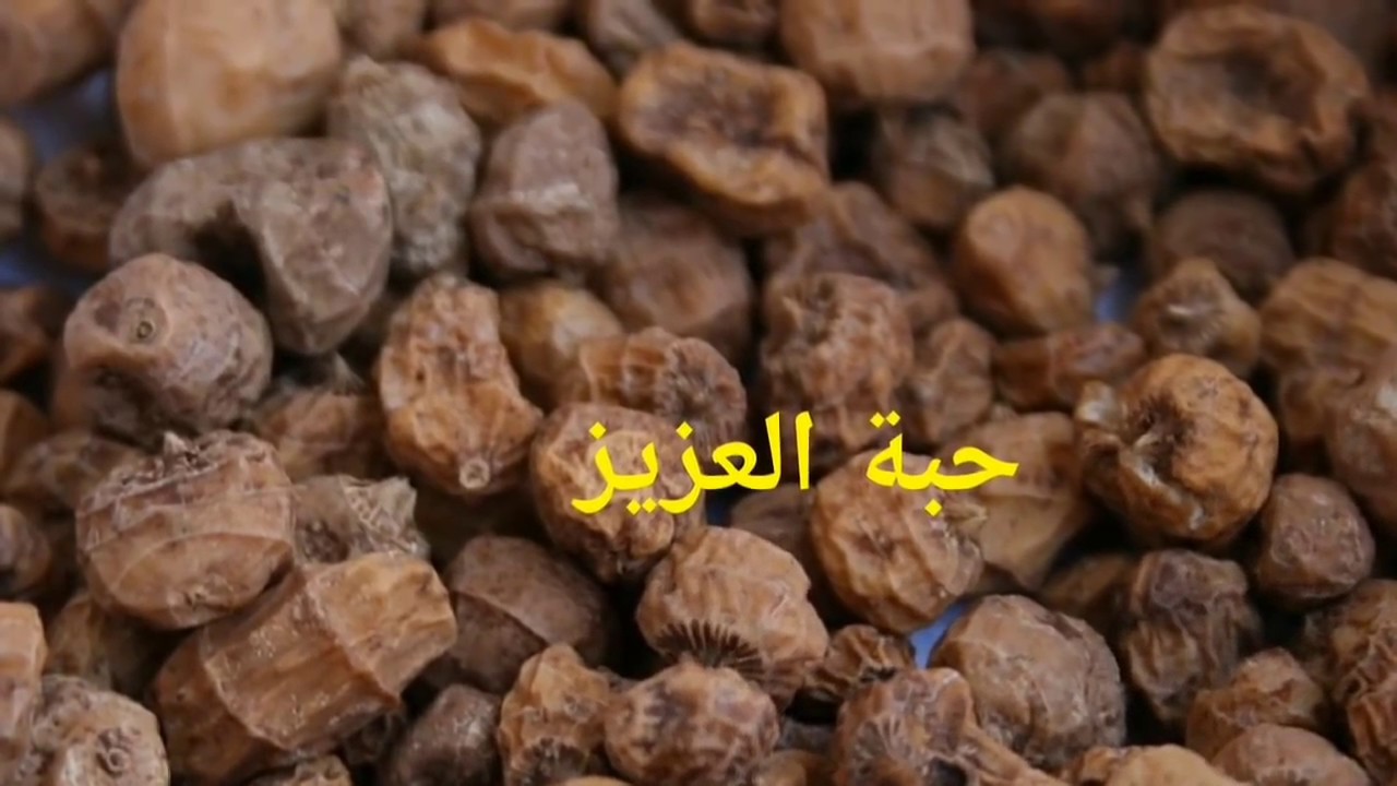 من جربت حب العزيز وزاد وزنه الله يخليكم