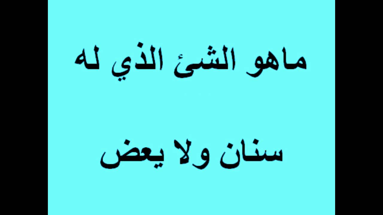 اسئله محيره - من خلال الاسئله المحيره ازيد تفكيري 6716 5