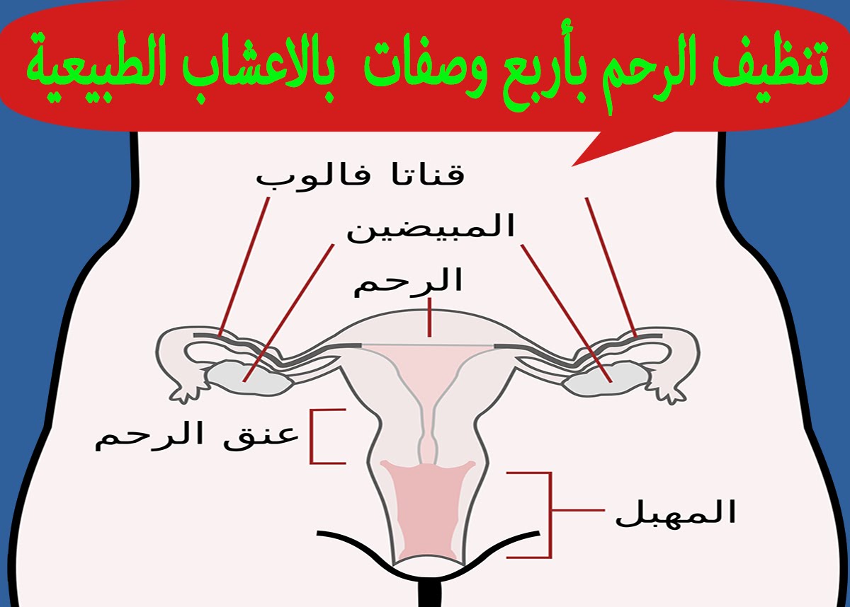 تنظيف الرحم من السحر - كيفيه تنظيف الرحم من السحر