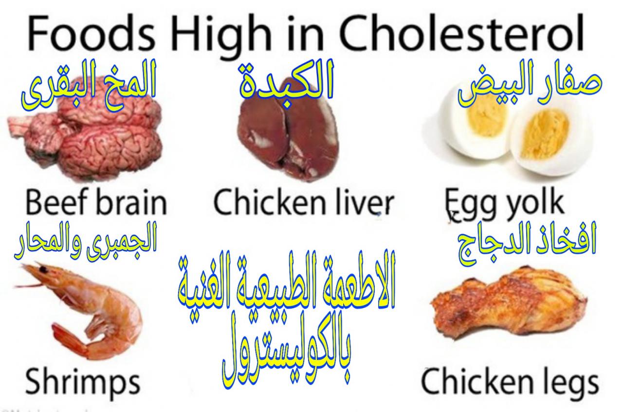 الوجبات التي تحتوي على كمية كبيرة من الكولسترول تسبب امراضا في - بعض الاطعمه الضاره 6680 4