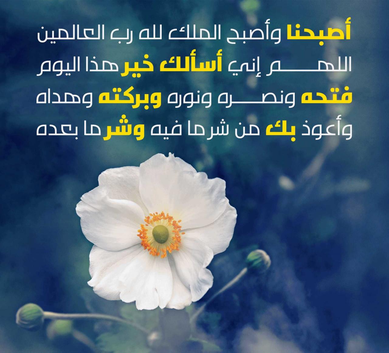 صور دعوات الصباح - فؤائد دعوات الصباح 6629 6